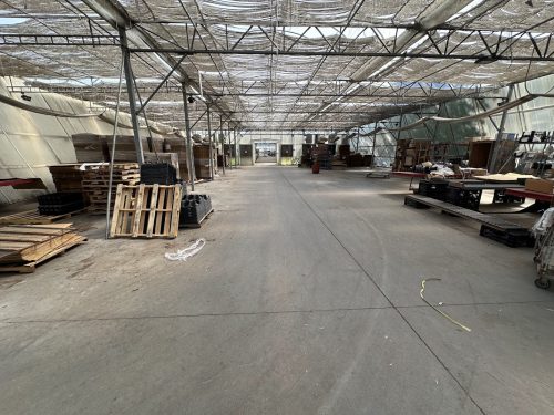 WHITE'S AUCTION LOT 449 - Packing Area Greenhouse #25 - 8,064 sq. ft. - Image 2