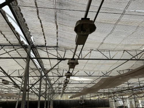 Row of HID Grow Light Fixtures in Greenhouse #25