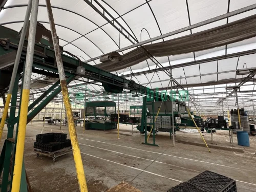 Close-up of the Bouldin & Lawson Overhead Soil Conveyor-Feeder in Greenhouse 26