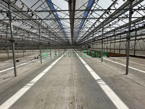 gh28-interior-21ft-bays-south-view-2