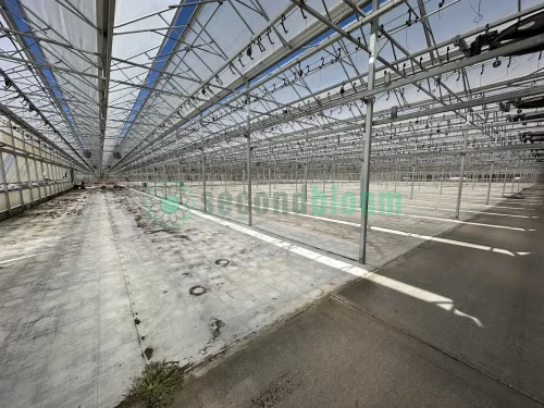 gh28-greenhouse-interior-southwest-view
