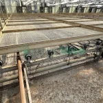 Single Movable Tray in Greenhouse 25A