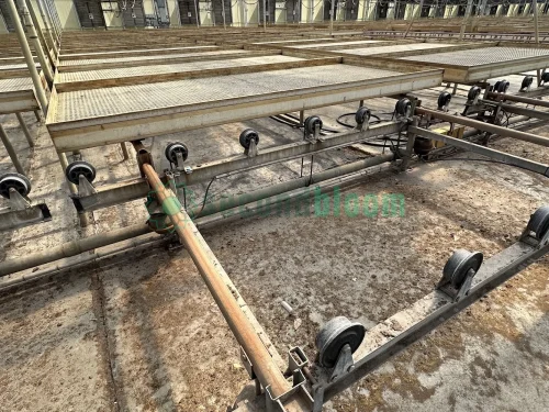 Row of Movable Trays in Greenhouse 25A