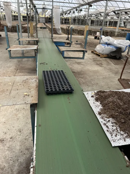 Used planting line conveyor system in a greenhouse