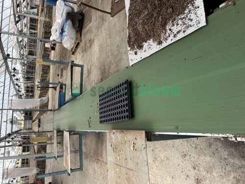 Used planting line conveyor system in a greenhouse