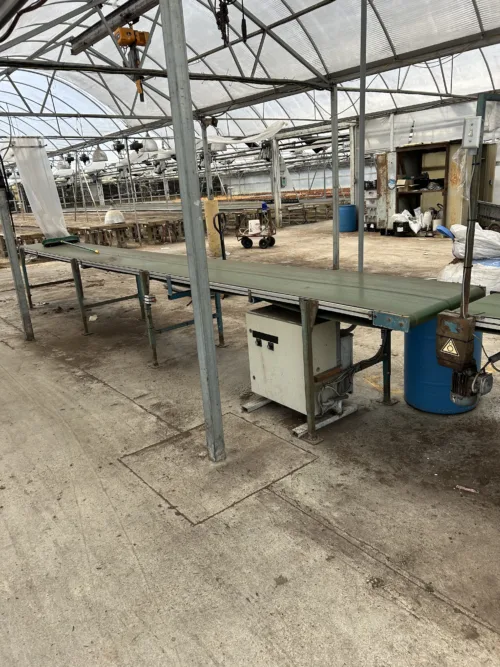 Used planting line conveyor system in a greenhouse