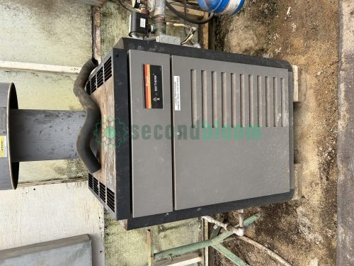 Raypak Raytherm Boiler