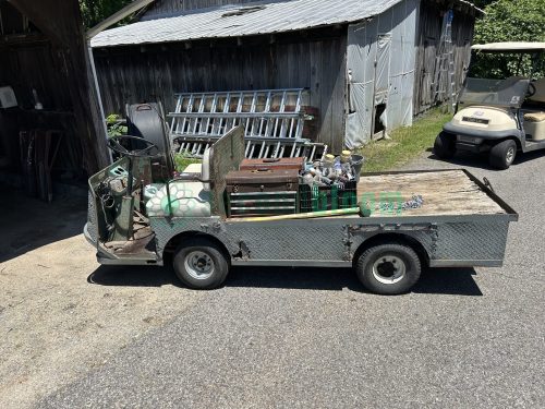 Taylor Dunn Cart Gray