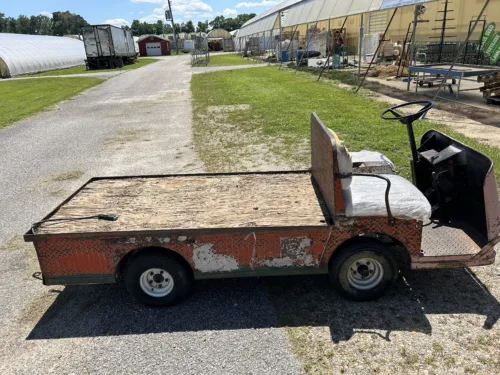 Taylor Dunn Golf Cart Orange