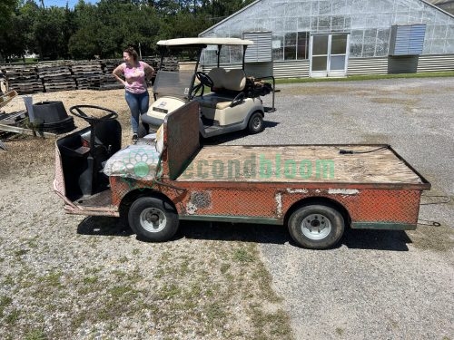 Taylor Dunn Golf Cart Orange