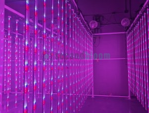 LED grow lights in a vertical farming setup.