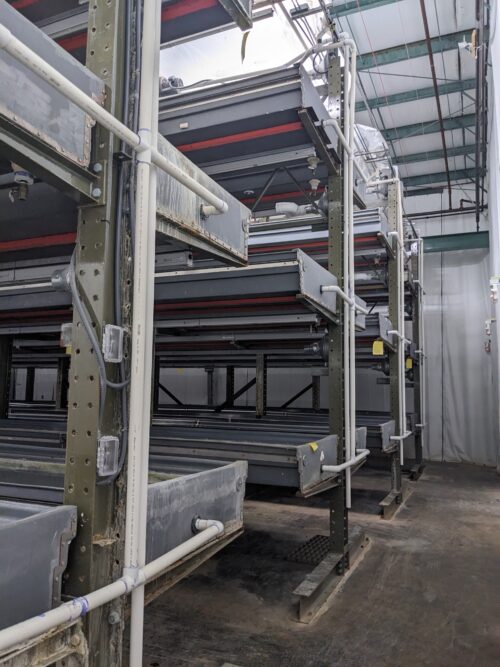 A detailed view of a vertical farm system installed at Your Local Greens in Burlington, North Carolina, featuring multi-level growing trays previously part of the FarmedHere system in Bedford Park, IL.