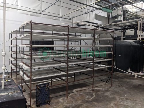 Side view of the Crop King multi-tier growing system at Your Local Greens in Burlington, NC, part of the FarmedHere system from Bedford Park, IL.