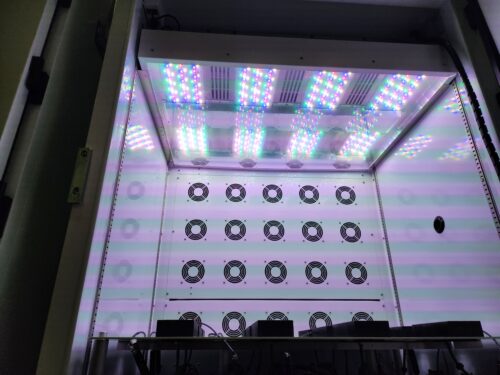 White LED Lighting in Percival Scientific LED-41L1 Plant Growth Chamber