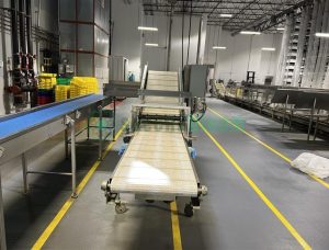 A Hamill microgreens harvester with stainless steel conveyors, operating inside a climate-controlled vertical farming facility for efficient and sustainable indoor crop production.