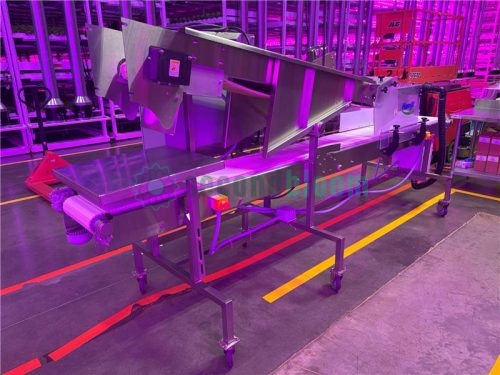 Full profile of the Hamill APS microgreen harvester in an indoor vertical farm, showing the control panel and stainless steel conveyor