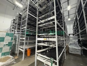 High-density vertical farming racks with multiple levels of black trays and irrigation lines in a warehouse setting.