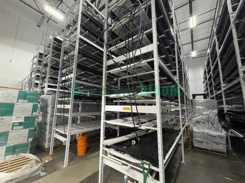 High-density vertical farming racks with multiple levels of black trays and irrigation lines in a warehouse setting.