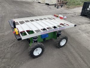Two - Burro XL 4x4 Carts
