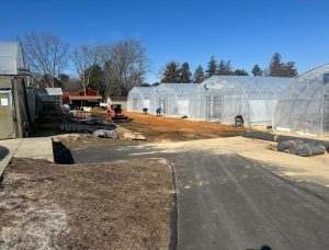 Multiple assembled Harnois Ovaltech greenhouses at a farming operation with workers visible preparing ground between structures"