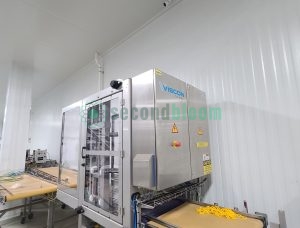 Viscon stacker installed in white food-grade production environment with conveyor system