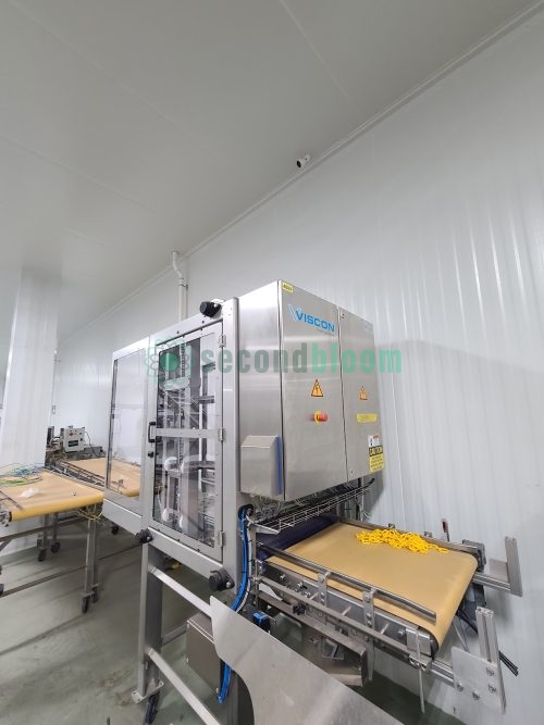 Viscon stacker installed in white food-grade production environment with conveyor system