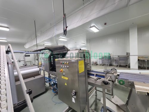 Viscon washing system showing control panel, conveyor system, and operational setup in food processing facility