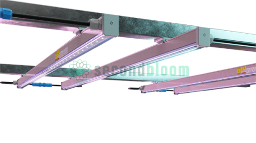 Verjure Arize Life2 LED Grow Light Bars mounted in vertical farming configuration