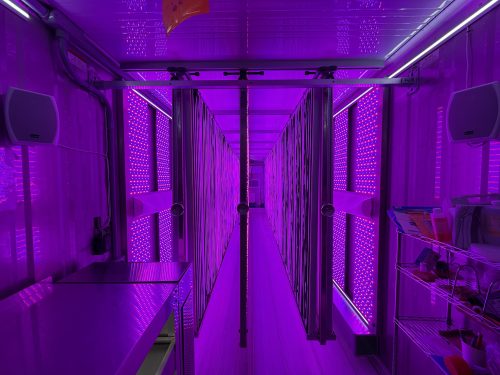 Interior view of container farm bathed in purple grow lights showing vertical farming infrastructure