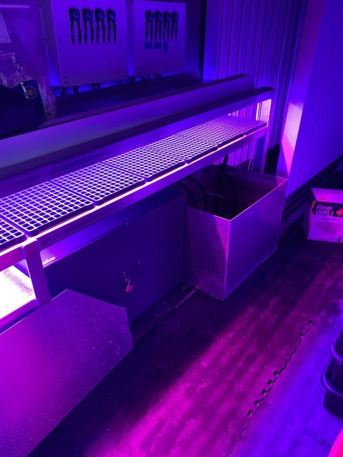 Close-up of hydroponic growing benches with grid surfaces under purple LED grow lights