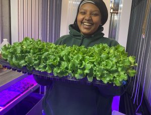 Smiling woman in green hoodie holding large tray of fresh leafy green lettuce inside hydroponic farm