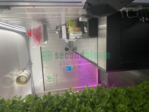 Interior view of Freight Farms Greenery S showing nursery workstation with purple LED grow lights illuminating seedling trays, white walls, and exit sign