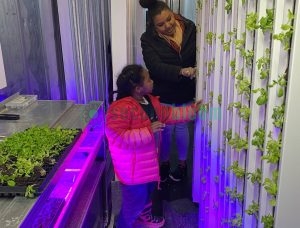 Adult and child examining plants growing on vertical hydroponic towers inside container farm