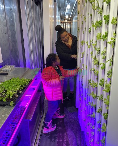 Adult and child examining plants growing on vertical hydroponic towers inside container farm