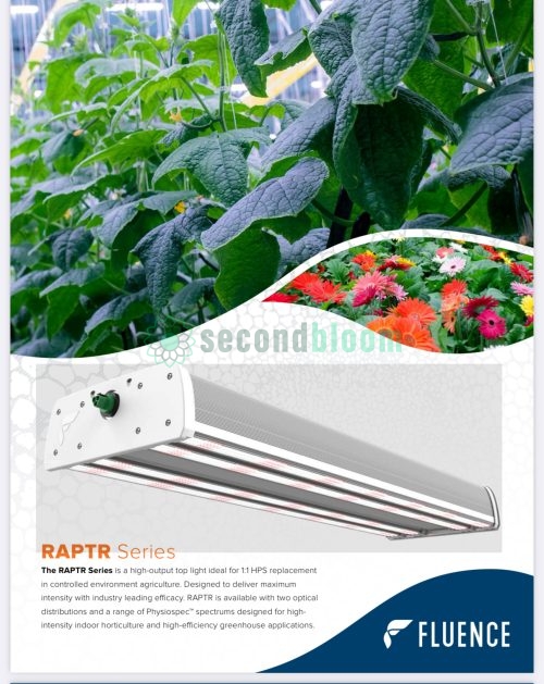 Fluence RAPTR Series marketing brochure showing fixture and plants under light