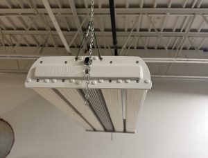 Fluence RAPTR 1000 light fixture hanging from ceiling